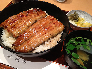 中入り丼