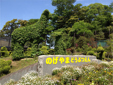 野毛山動物園♪