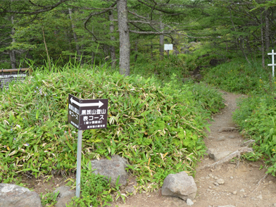 登山道入り口